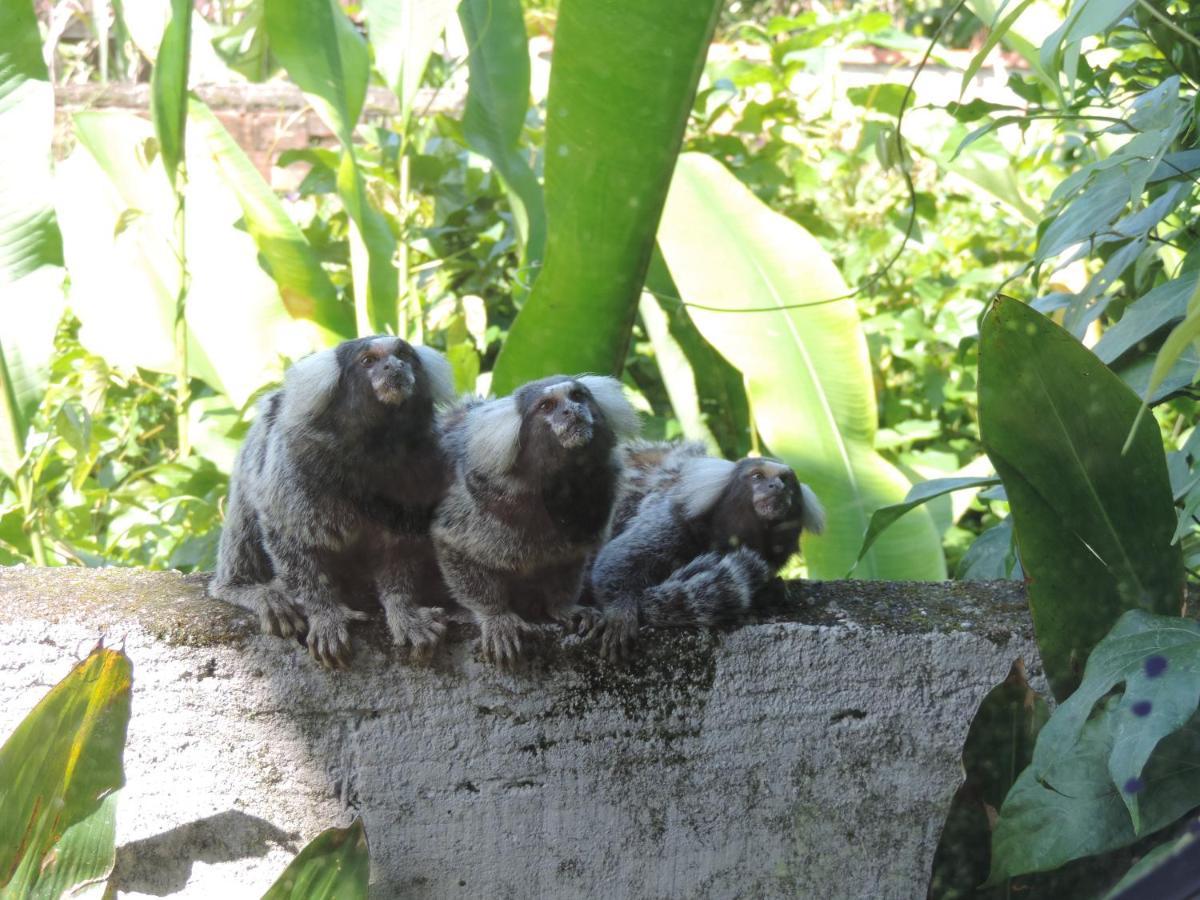 Pousada Tropicalia Araquari Zewnętrze zdjęcie