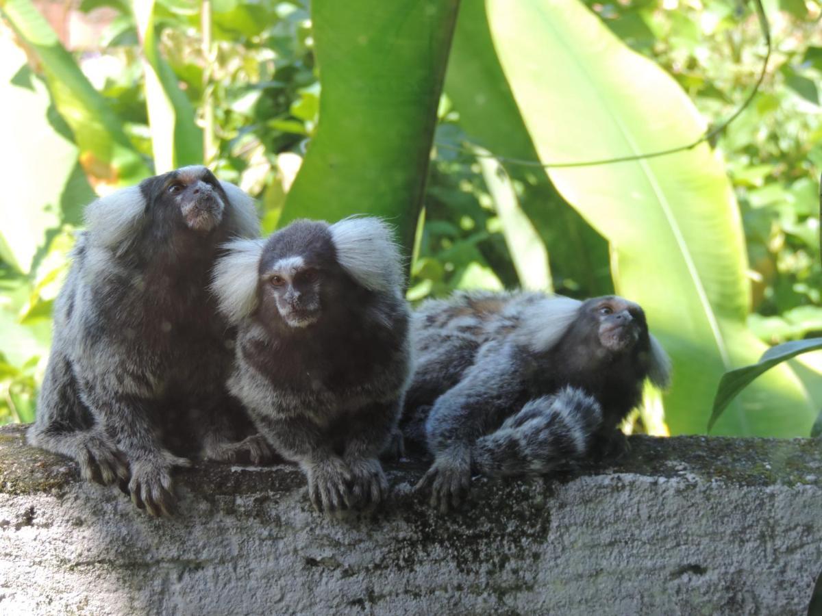 Pousada Tropicalia Araquari Zewnętrze zdjęcie